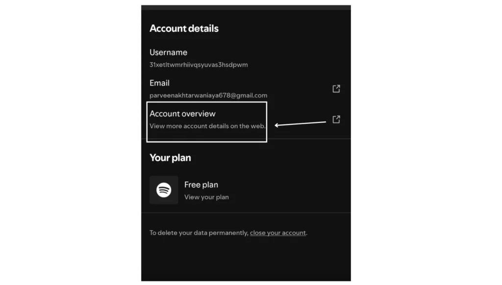 Spotify Account Overview Page