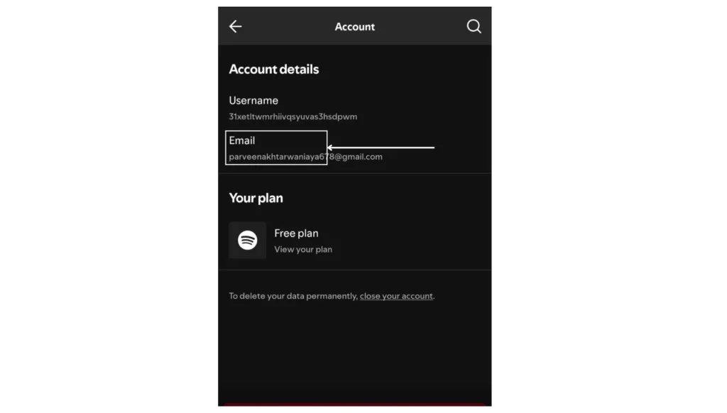 Spotify account Details